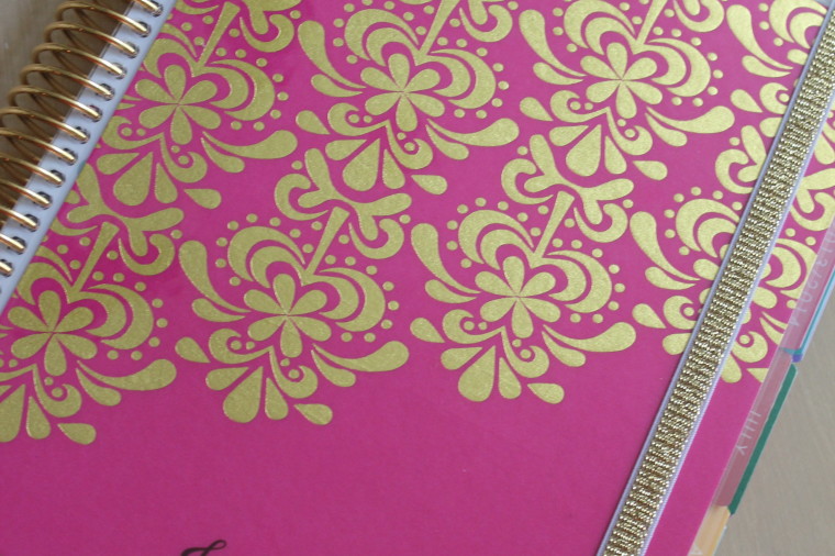 shiny and new, my erin condren life planner review