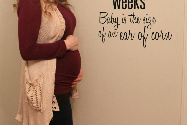 24 weeks and belly buds