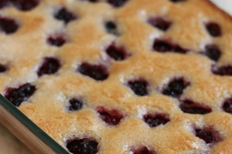 blackberry pickin’ and a blackberry buckle recipe