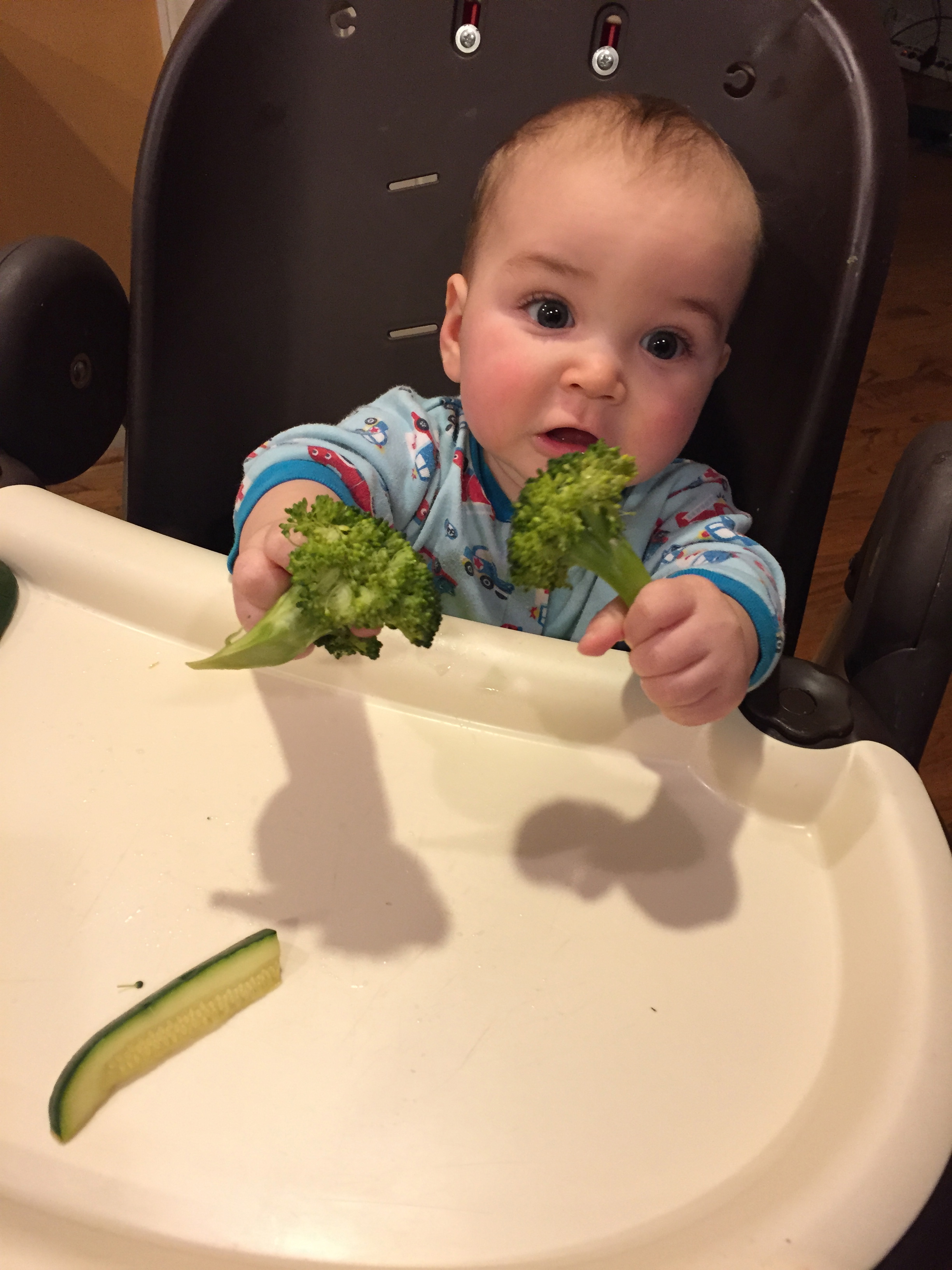 Baby Led Weaning Tips
