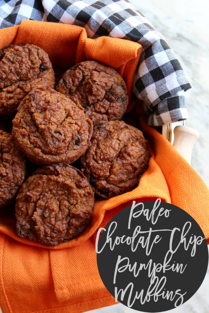 paleo-chocolate-chip-pumpkin-muffins
