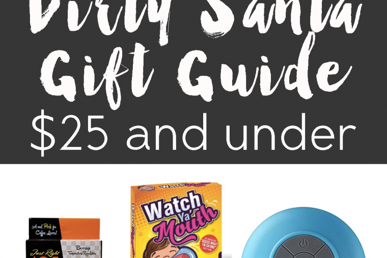a dirty santa gift guide (under $25)