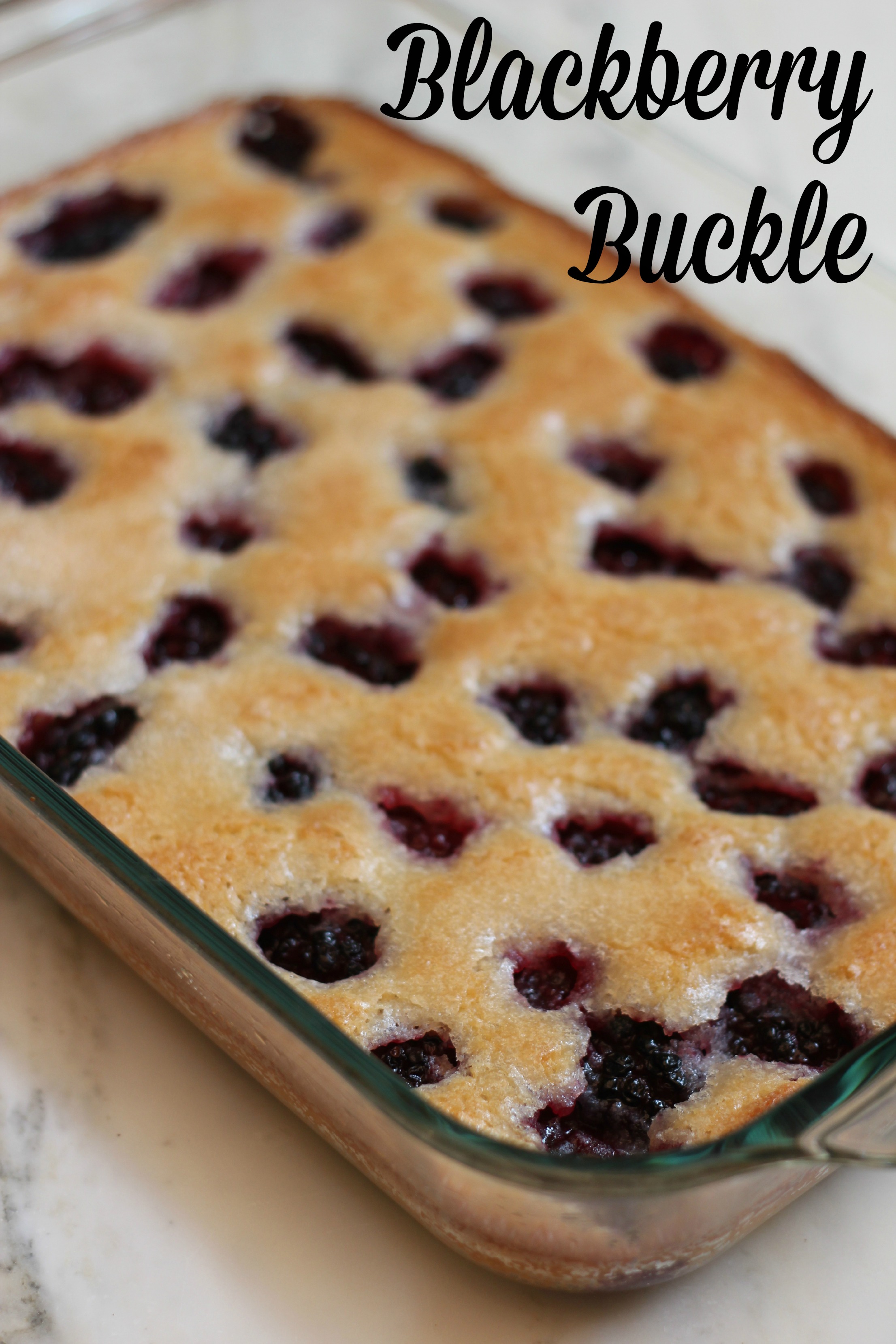 blackberry pickin' and a blackberry buckle recipe - Life in the Green House